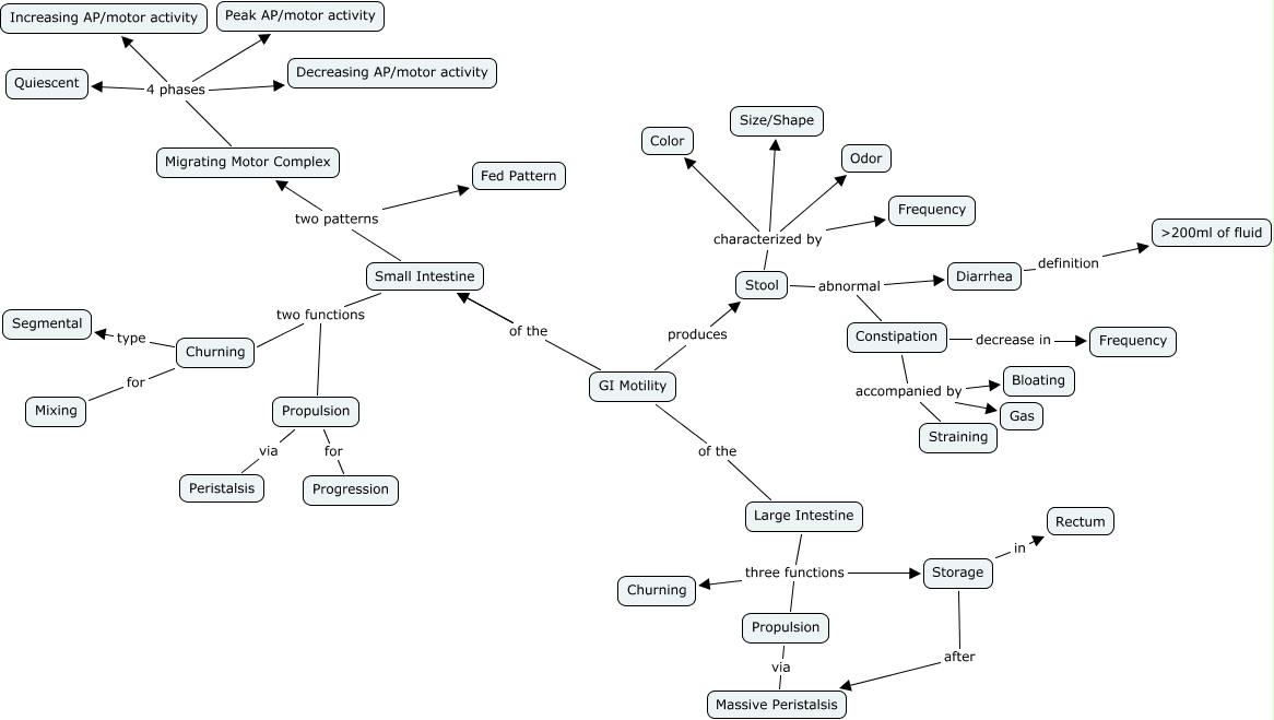 GI Motility
